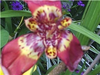 16944018-Picture 007.jpg